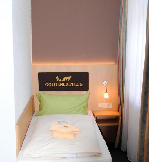 스탠다드 트리플 룸, Landgasthof Goldener Pflug