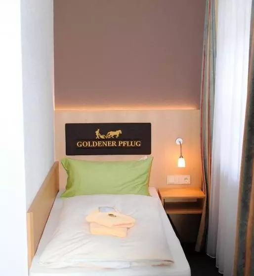 اتاق استاندارد سه نفره, Landgasthof Goldener Pflug