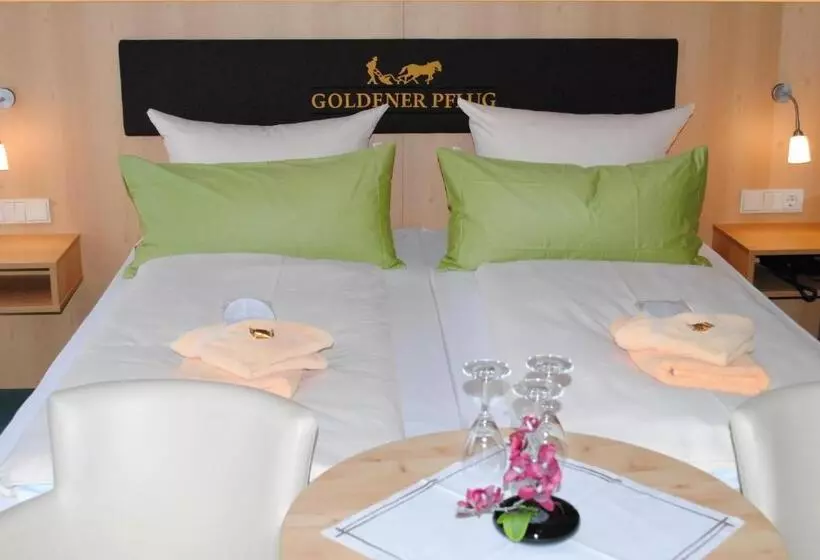اتاق استاندارد سه نفره, Landgasthof Goldener Pflug