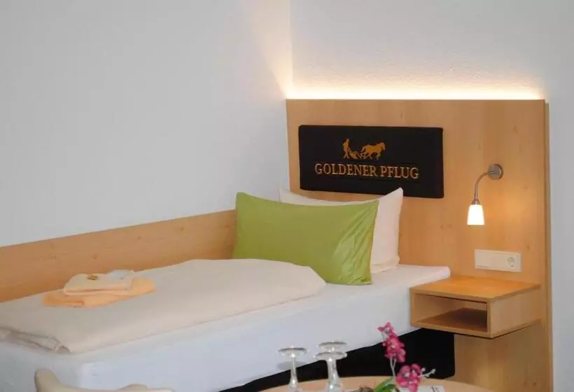 اتاق استاندارد سه تخته با بالکن, Landgasthof Goldener Pflug