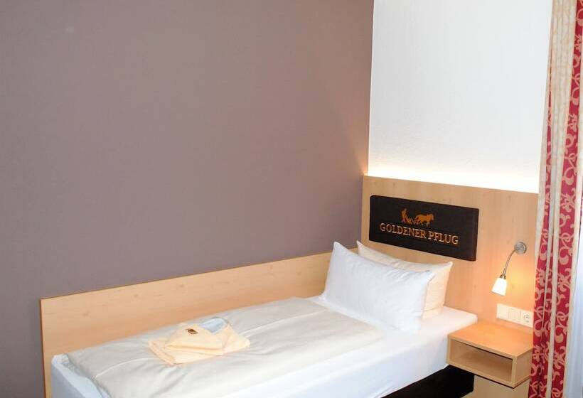 스탠다드 싱글 룸, Landgasthof Goldener Pflug