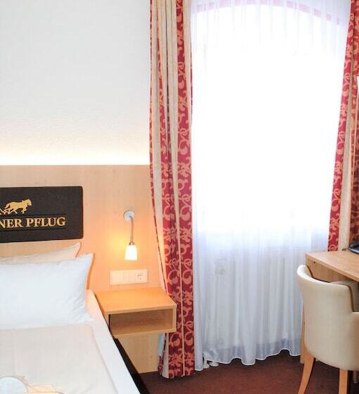 스탠다드 싱글 룸, Landgasthof Goldener Pflug