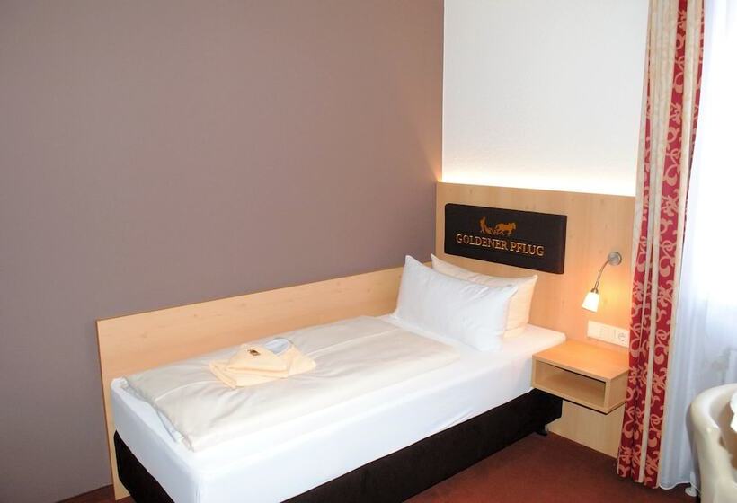 스탠다드 싱글 룸, Landgasthof Goldener Pflug