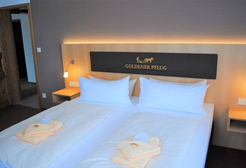 Номер Стандарт, Landgasthof Goldener Pflug