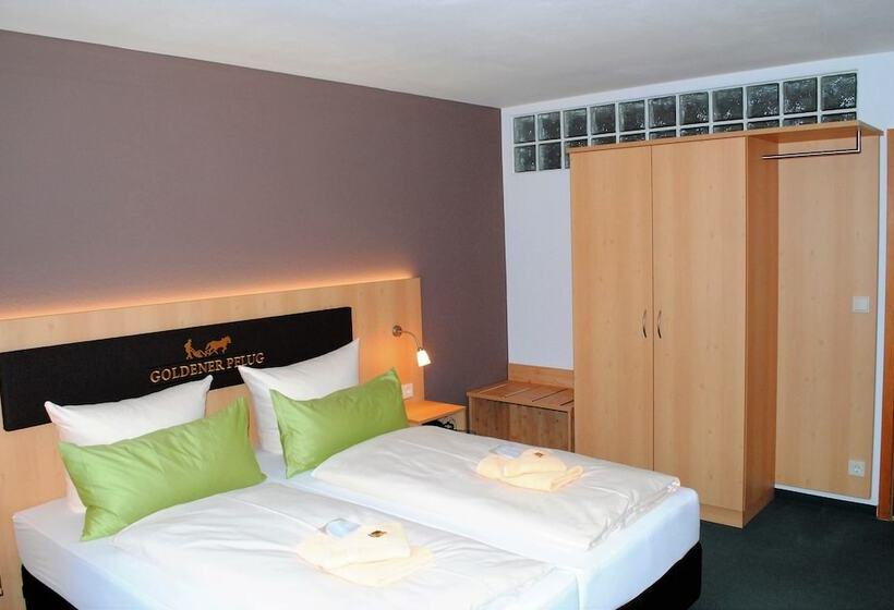 스탠다드 룸, Landgasthof Goldener Pflug