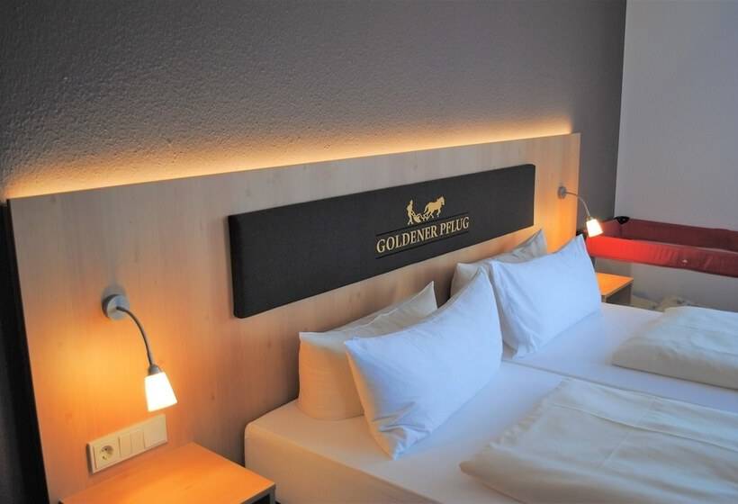 스탠다드 룸, Landgasthof Goldener Pflug