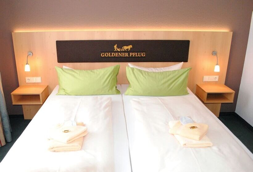 스탠다드 룸, Landgasthof Goldener Pflug