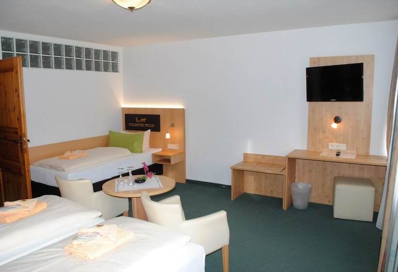 스탠다드 룸, Landgasthof Goldener Pflug