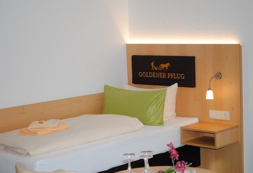 스탠다드 룸, Landgasthof Goldener Pflug