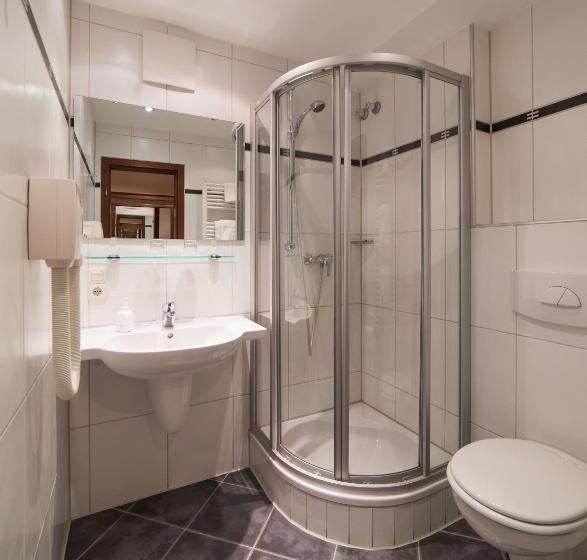 חדר סטנדרט יחיד, Schwan