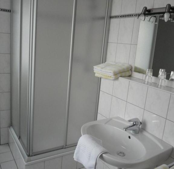 标准单人间, Westfälischer Hof