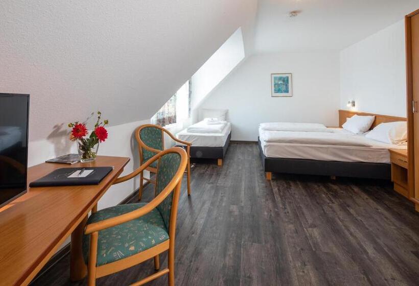 اتاق استاندارد سه نفره, Zur Davert