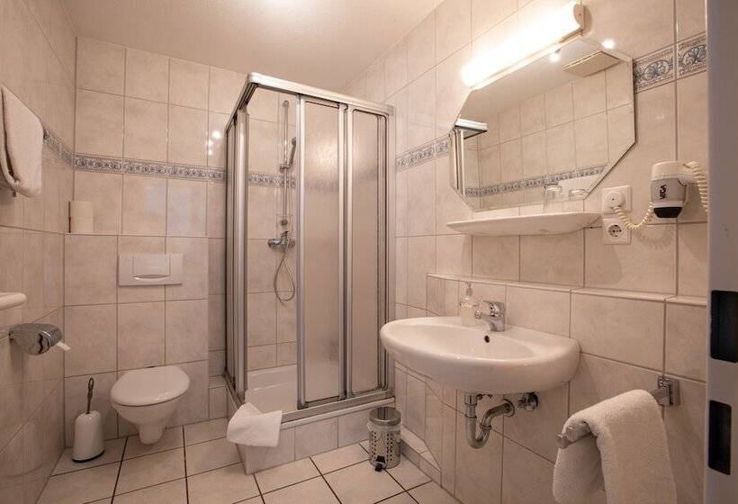 اتاق استاندارد یک نفره, Zur Davert