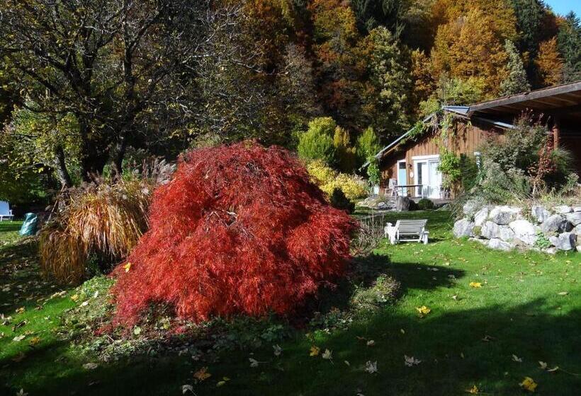 Номер Basic, Gästehaus Bühler