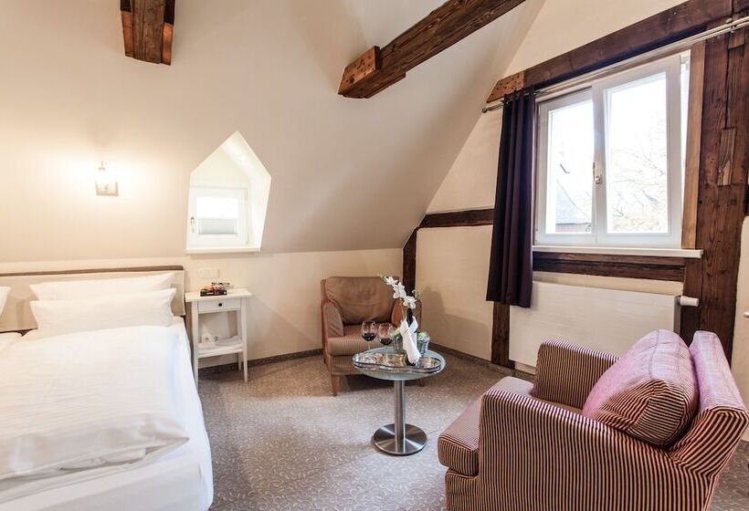 סוויטת ג'וניור, Romantik Hotel Alte Münze