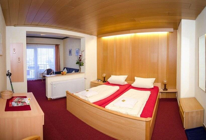 חדר דלוקס לשלושה, Schröder S Hotelpension