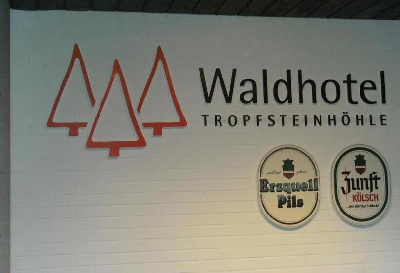 标准单人间, Waldhotel Tropfsteinhöhle