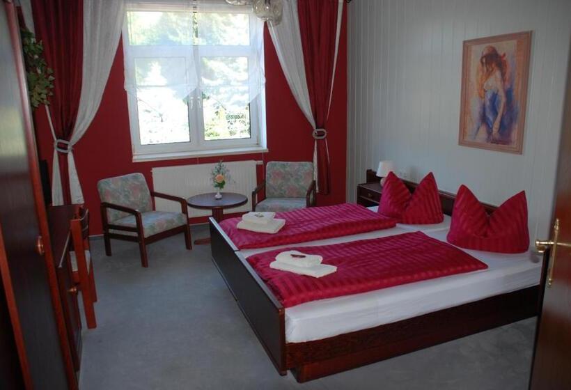 غرفة قياسية, Gasthof Und Pension Frankenthal   Garni