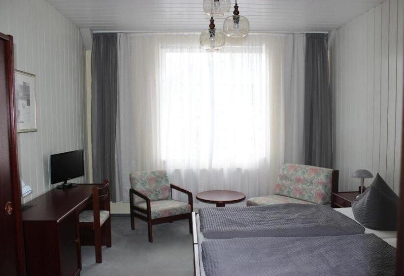 غرفة قياسية, Gasthof Und Pension Frankenthal   Garni