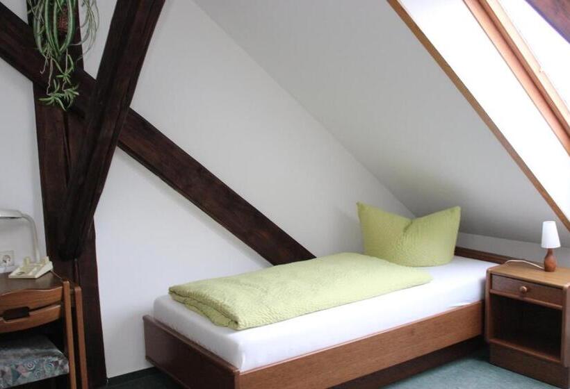 标准单人间, Gasthof Und Pension Frankenthal   Garni