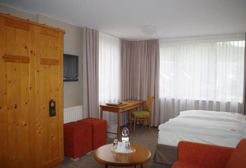 デラックスルーム, Ettrich & Elbresort Rathen