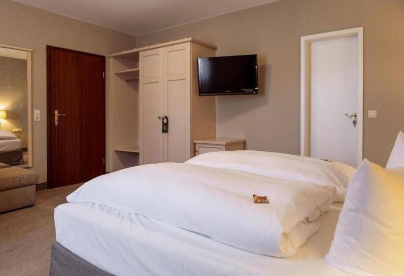 デラックスルーム, Ettrich & Elbresort Rathen