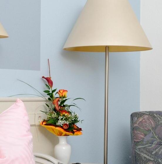 غرفة قياسية, Fabrice