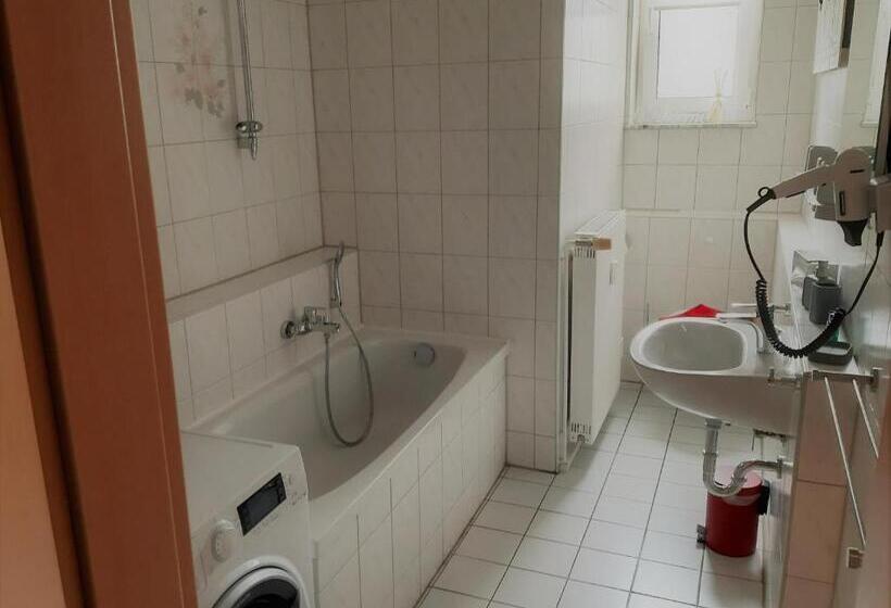 شقة غرفة واحدة, Fabrice