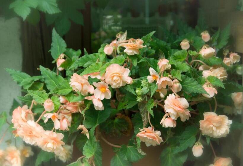 带1个卧室的公寓, Frühstücks Pension Zum Postillion