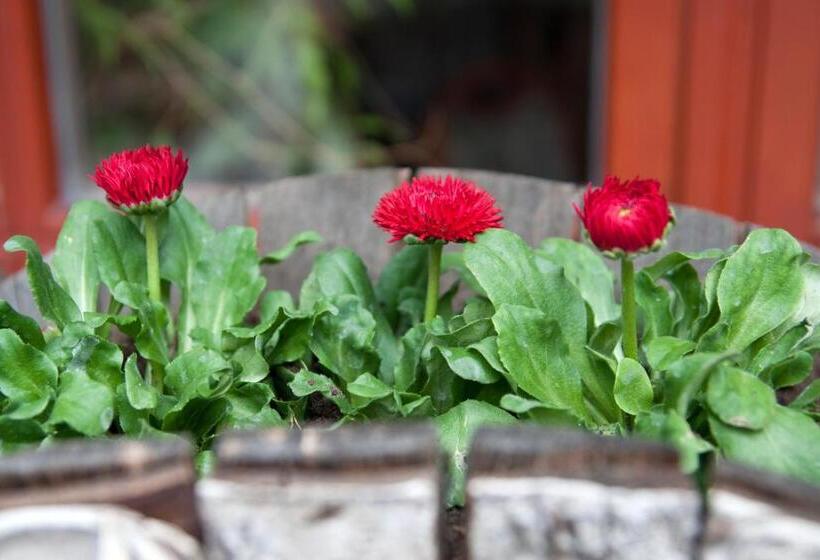 带1个卧室的公寓, Frühstücks Pension Zum Postillion