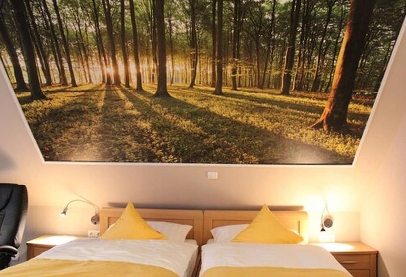 舒适型房间, Ripken