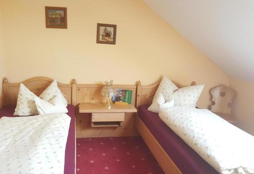 غرفة قياسية, Landhotel Burgenblick Garni & Tagungs