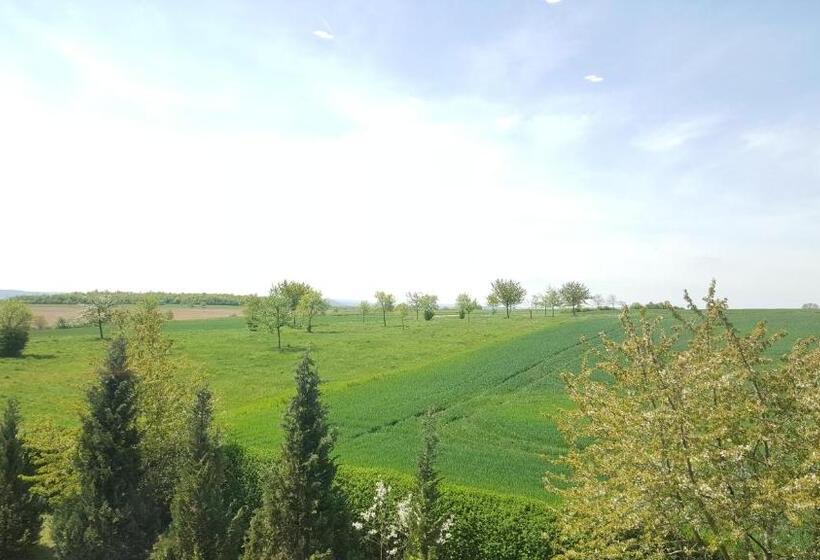 חדר סטנדרט, Landhotel Burgenblick Garni & Tagungs