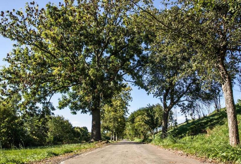 スタンダードルーム, Landhotel Gutshof