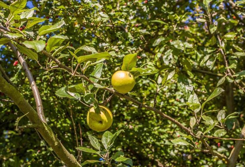 スイート, Landhotel Gutshof