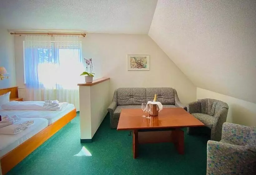 コンフォートルーム, Meister Bär Hotel Wettiner Hof