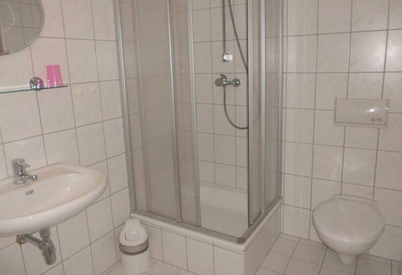 غرفة قياسية فردية, Pension Parkhotel Blankenhain