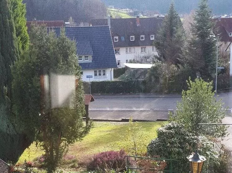 シングルベーシックルーム, Schwarzwaldhotel Garni Wolfach