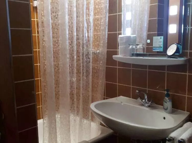 シングルベーシックルーム, Schwarzwaldhotel Garni Wolfach