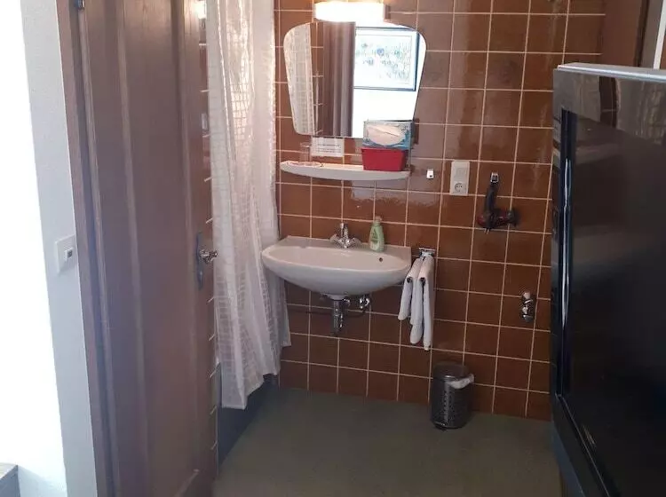 シングルベーシックルーム, Schwarzwaldhotel Garni Wolfach