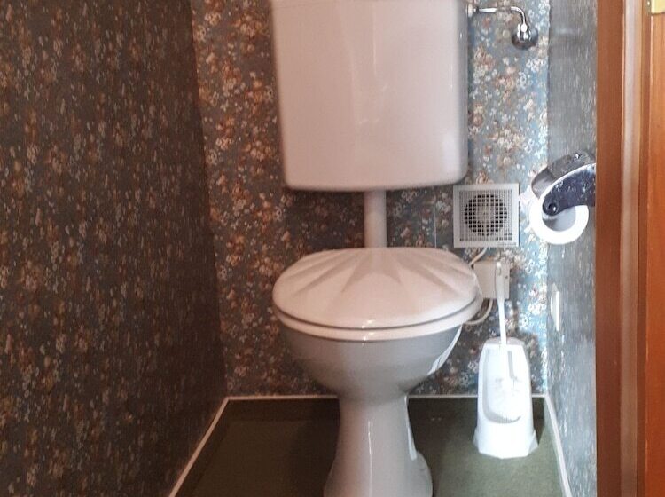 单人基本间, Schwarzwaldhotel Garni Wolfach