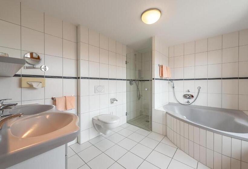 Номер Deluxe Кровать Кинг, Gasthaus Hotel Zum Mohren