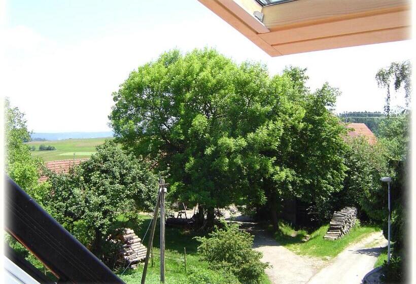 标准间, Gasthof Hotel Traube