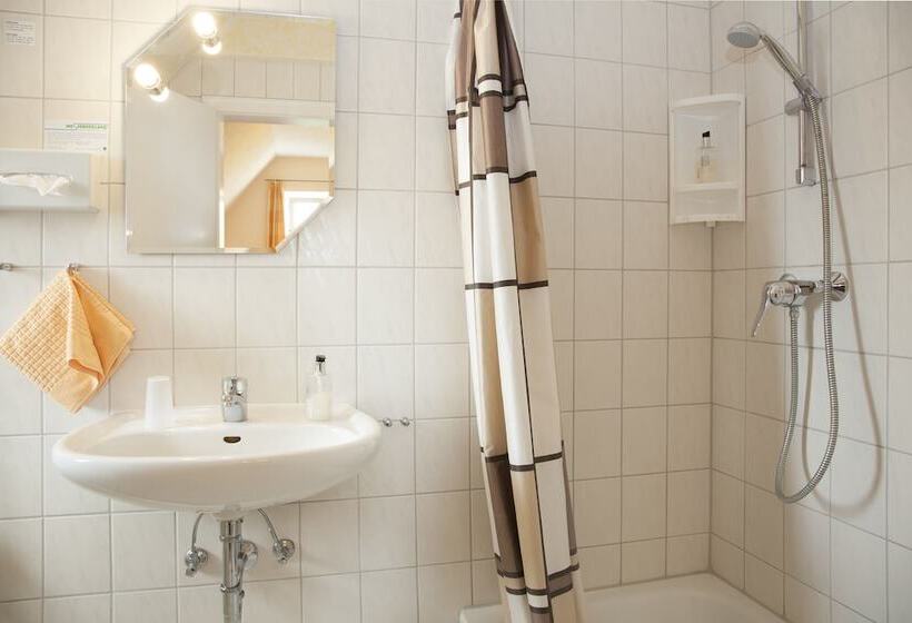 スタンダードシングルルーム, An Der Altstadt