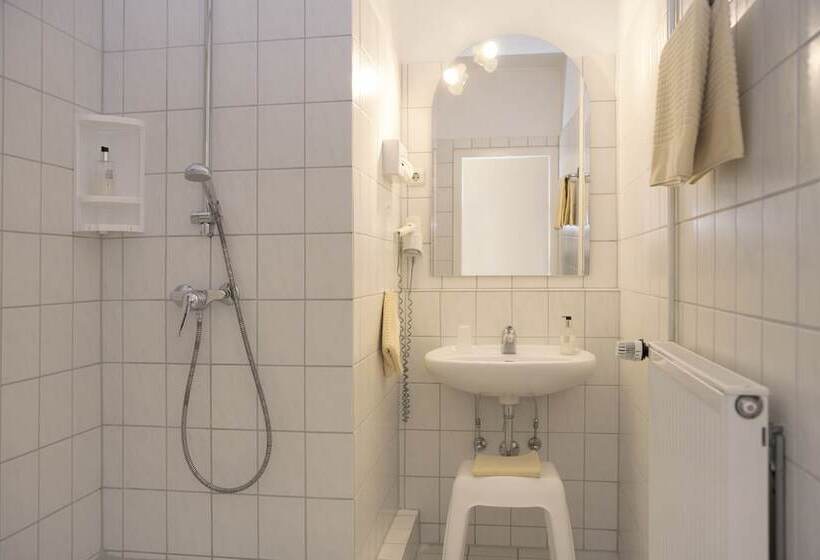 スタンダードシングルルーム, An Der Altstadt