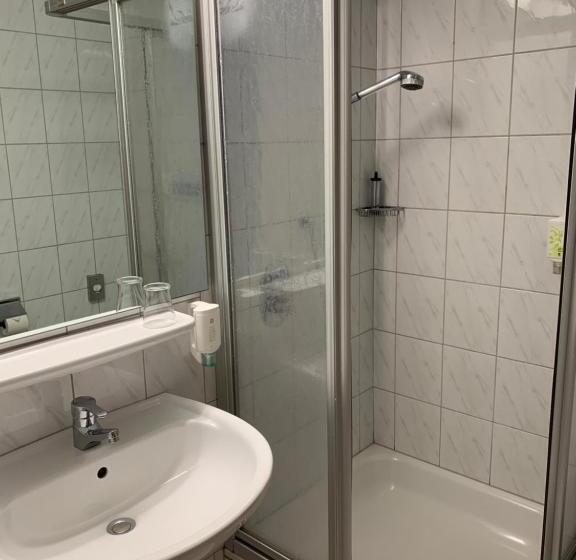 Номер Стандарт Индивидуальный, Flora