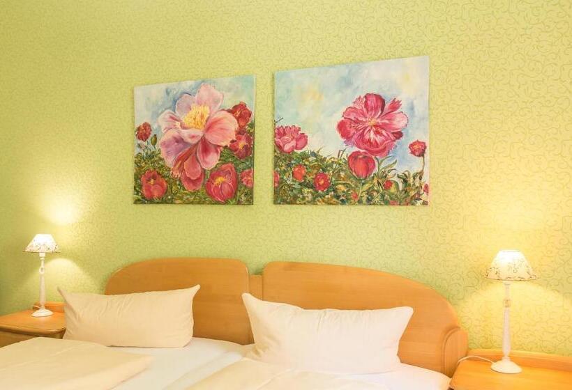 Номер Стандарт, Leander