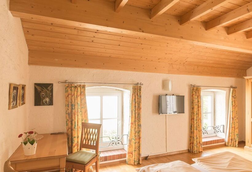 Номер Стандарт, Leander