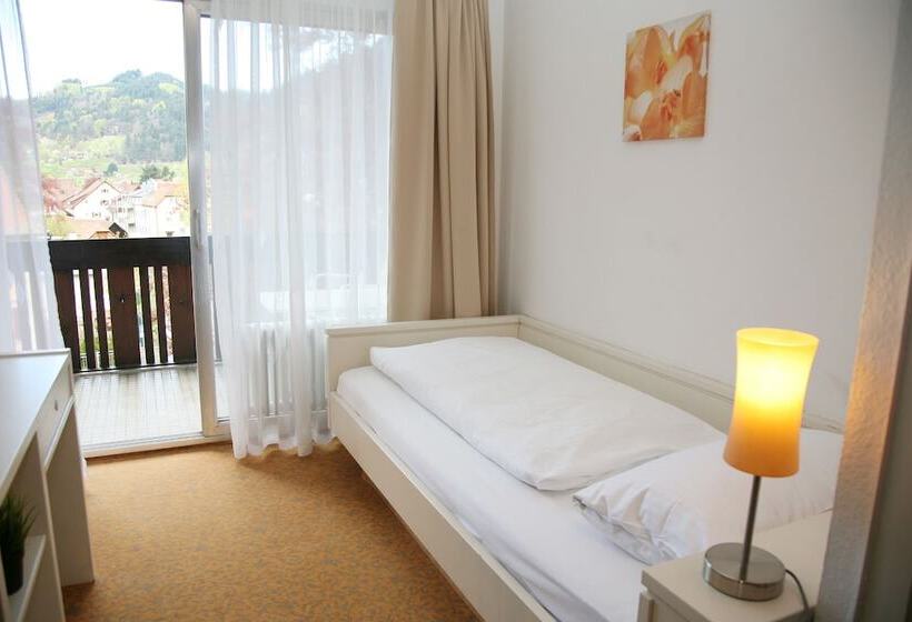 غرفة كومفورت فردية, Pflug