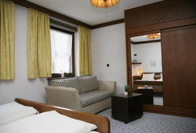 غرفة قياسية, Pflug